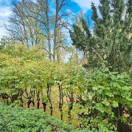 Apartament Haus Parkallee 1 Alleestrandpark App 14 *